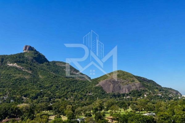 Vista natureza